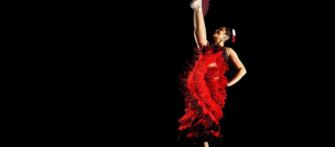 Intérprete de ballet