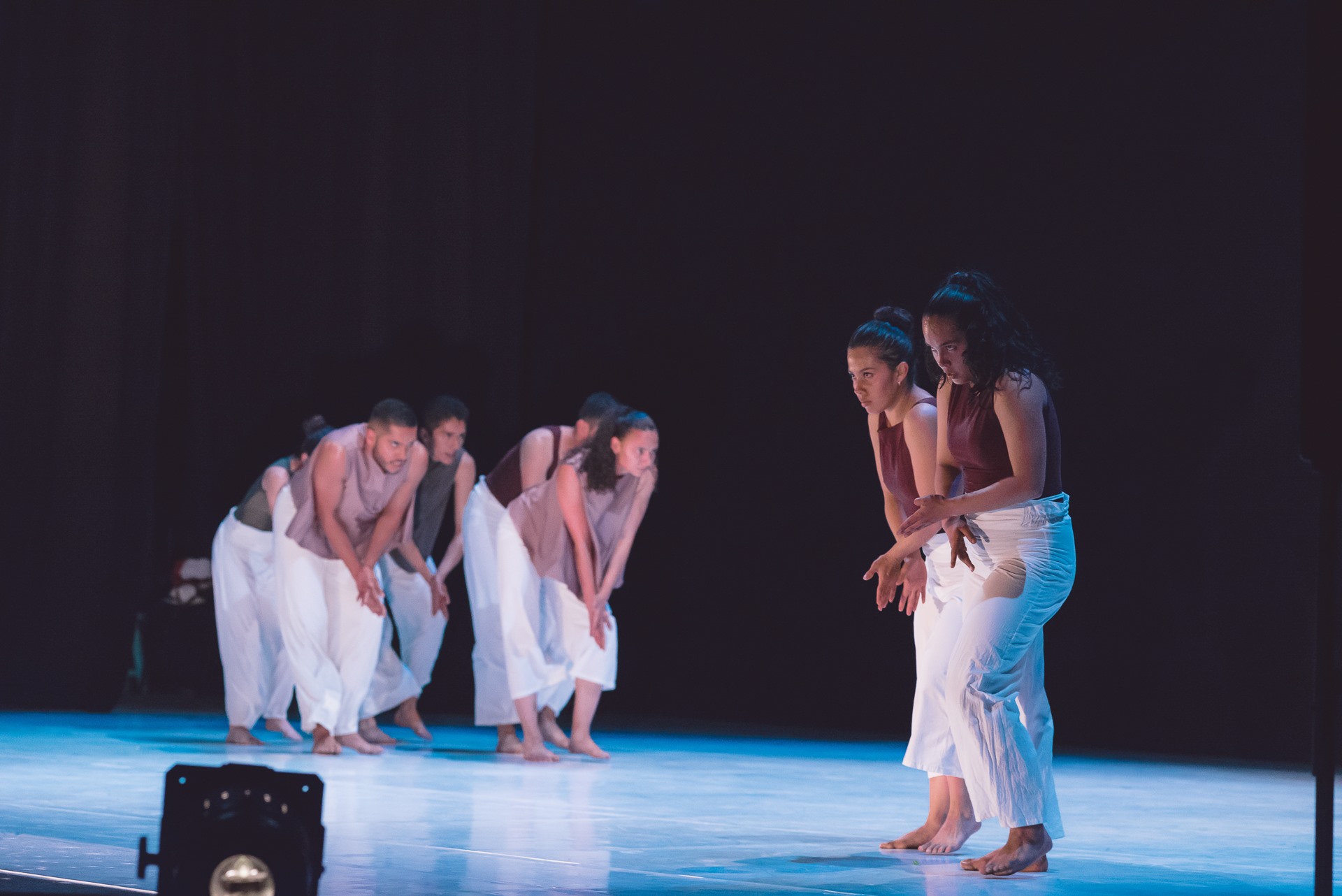 Cámara de danza