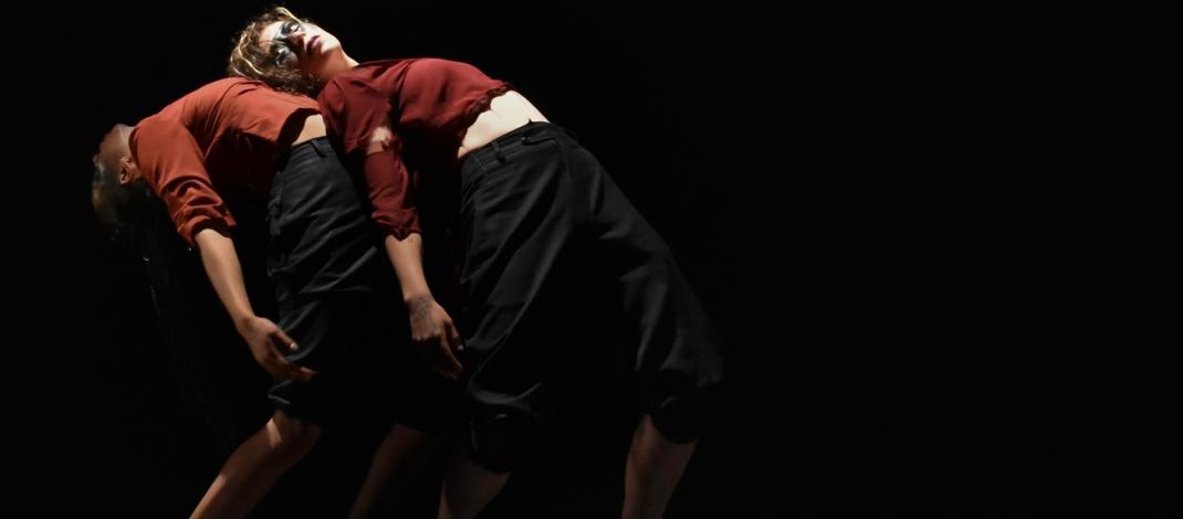 Vórtice y Ozcilante