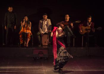 Encuentro de Flamenco y Danzas Españolas / XI Festival danza en la ciudad 
