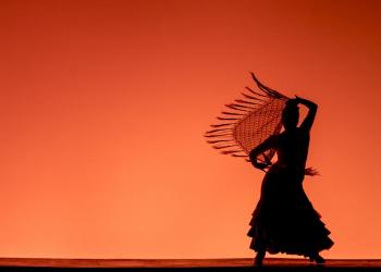 Lanzamiento XI Festival Danza en la Ciudad - Ph. Juan Santacruz