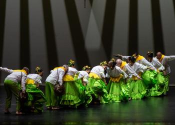Danza Mayor